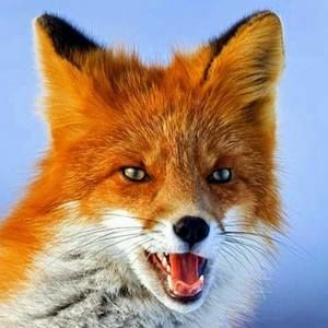 Meet your Posher, Travis