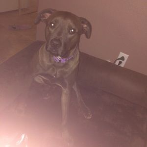 Meet your Posher, Kaylin