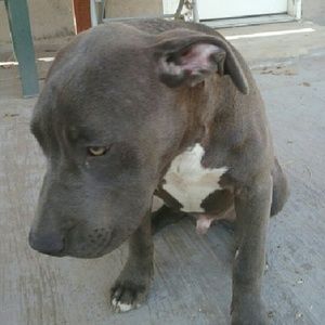 Meet your Posher, Lisbeth