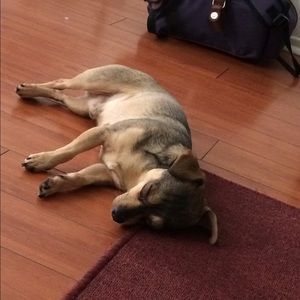 Meet your Posher, Britney