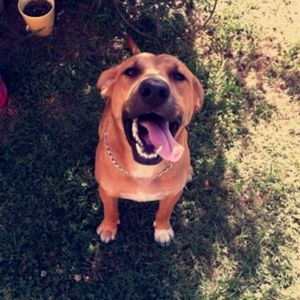 Meet your Posher, Jasmine