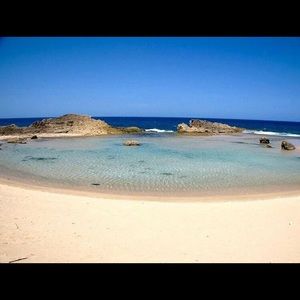 Meet your Posher, Haydee