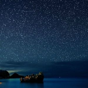 Meet your Posher, Anel