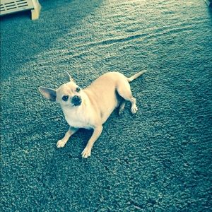 Meet your Posher, Michelle