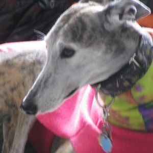 Meet your Posher, Cathy