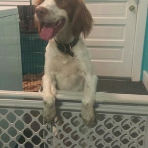 Meet your Posher, Jasmine