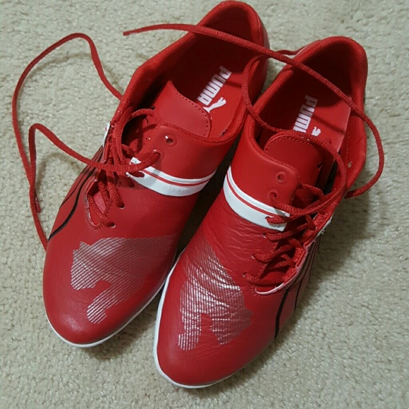 puma
