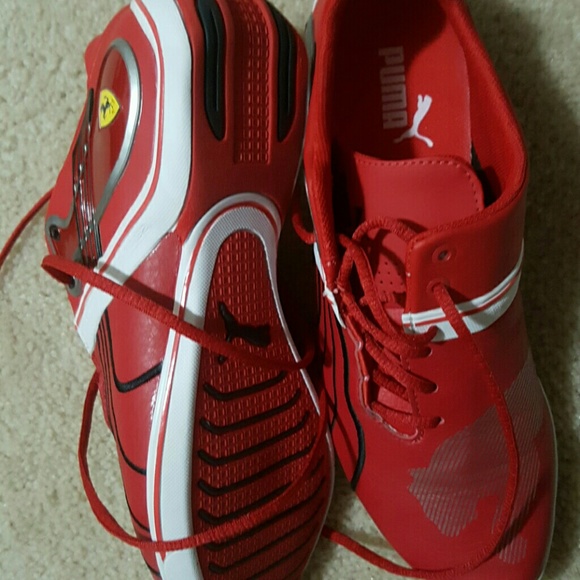 puma - Picture 2 of 2