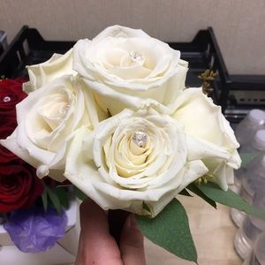 Meet your Posher, Rose