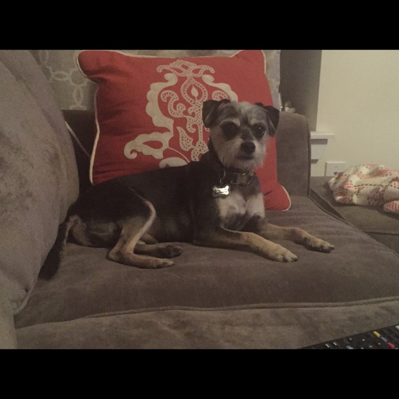 Meet your Posher, Jesse