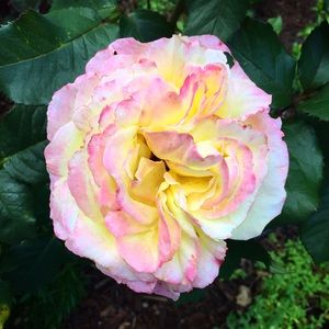 Meet your Posher, Stacy