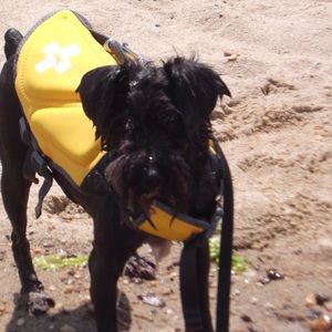 Meet your Posher, Janet