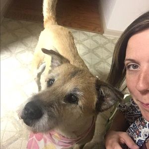 Meet your Posher, Jennifer