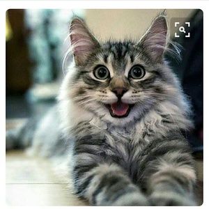 Meet your Posher, Cheri