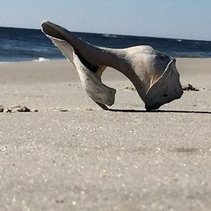 Meet your Posher, Candice