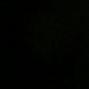 Meet your Posher, Harry