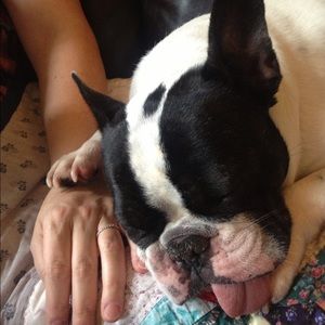 Meet your Posher, Charlotte