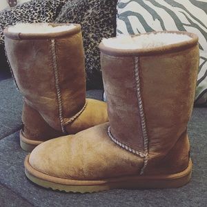 Classic Short Chestnut Ugg Boots