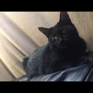 Meet your Posher, Ashlee