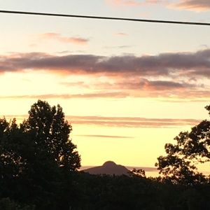 Meet your Posher, Breta