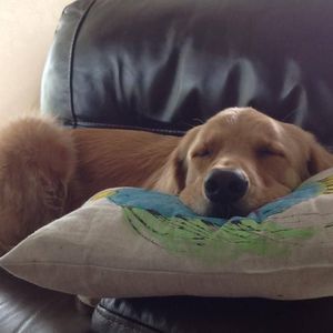 Meet your Posher, Jodi