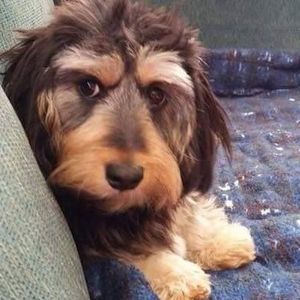 Meet your Posher, April