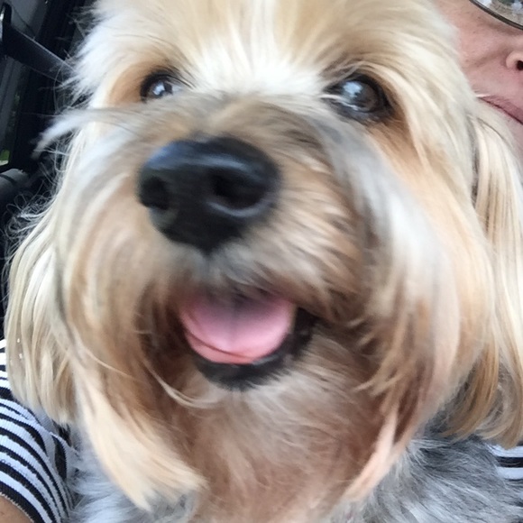 Meet your Posher, Paige