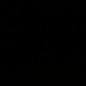 Meet your Posher, Lashonda