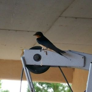 Meet your Posher, Jesus