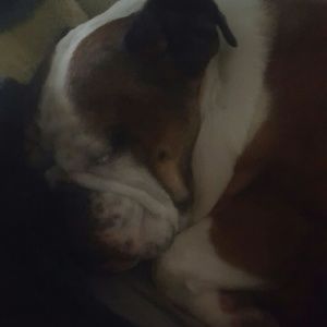 Meet your Posher, Delaney