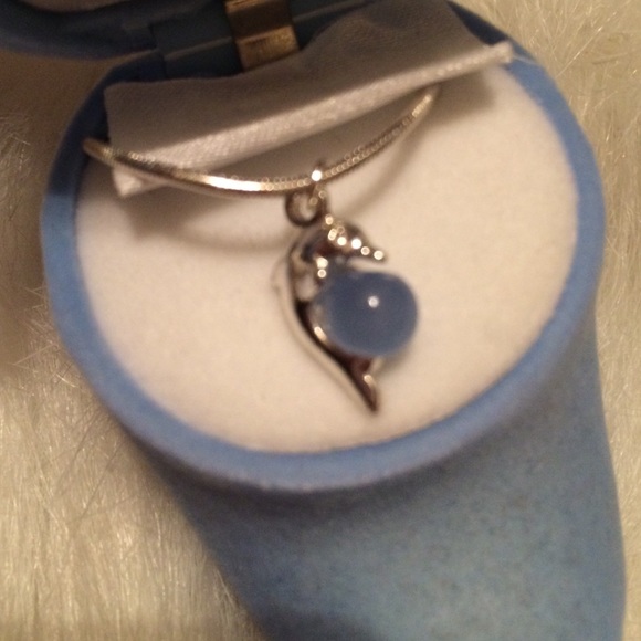 Dolphin Necklace w/ Case
