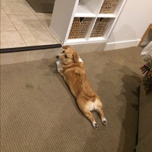 Meet your Posher, Jack