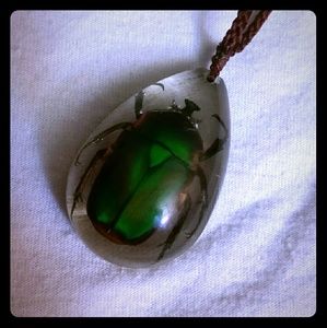 Real scarab beetle in resin