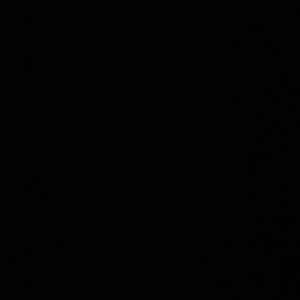 Meet your Posher, Cheyenne