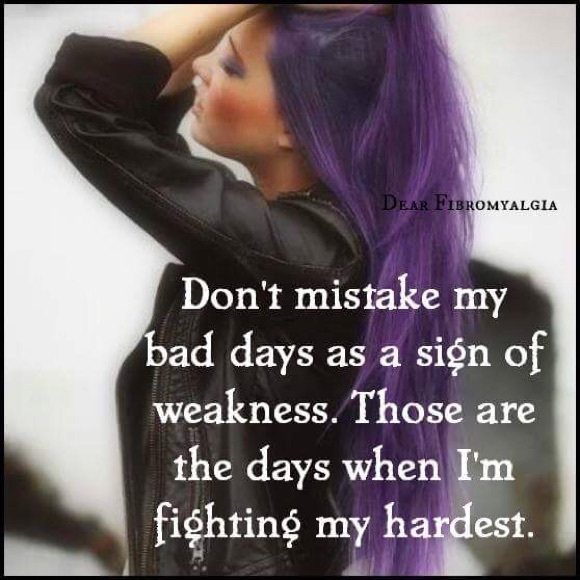 Meet your Posher, Susie - Picture 4 of 4