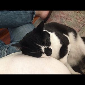 Meet your Posher, Lori