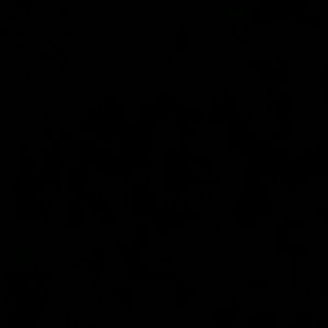 Meet your Posher, Elisa