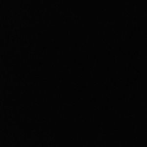 Meet your Posher, Ray