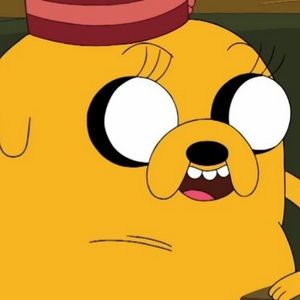 Meet your Posher, Tony