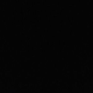 Meet your Posher, Tremel