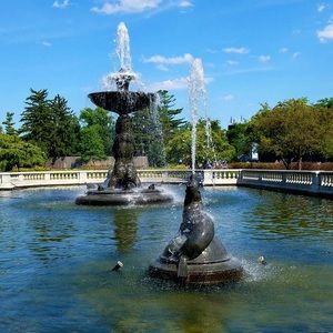 Meet your Posher, Frank