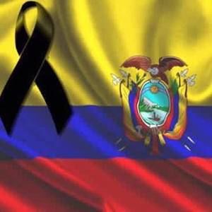 Meet your Posher, Luis