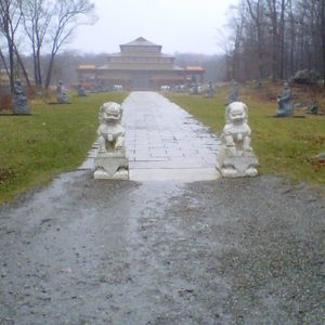 Meet your Posher, Iris