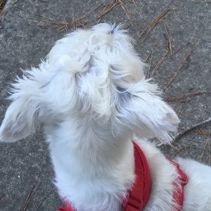 Meet your Posher, Marcia