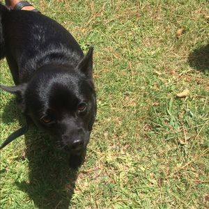 Meet your Posher, Calvin