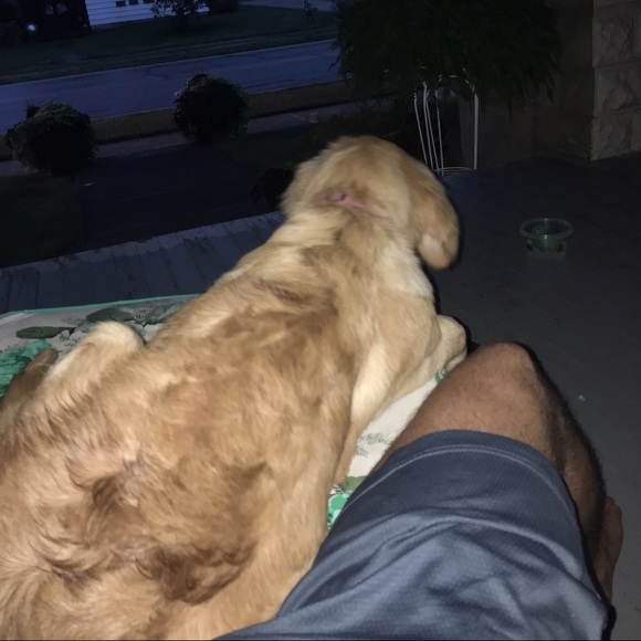 Meet your Posher, Josh - Picture 1 of 1