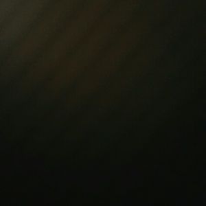 Meet your Posher, Ray