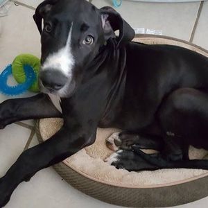 Meet your Posher, Sherry