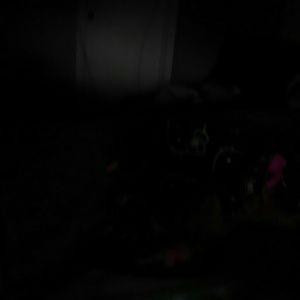 Meet your Posher, Lizzie