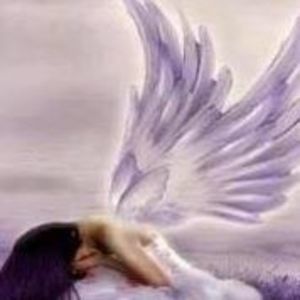 Meet your Posher, Sherry